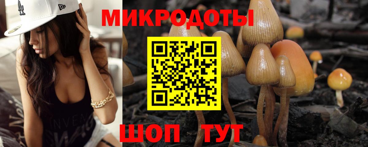 Псилоцибиновые грибы GOLDEN TEACHER Кольчугино